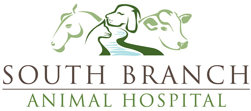 South Branch Animal Hospital logo