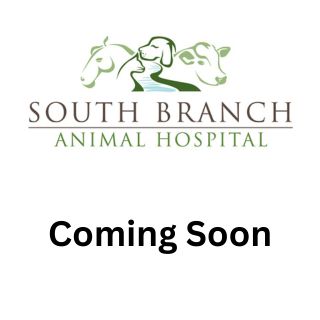 South Branch Animal Hospital Logo